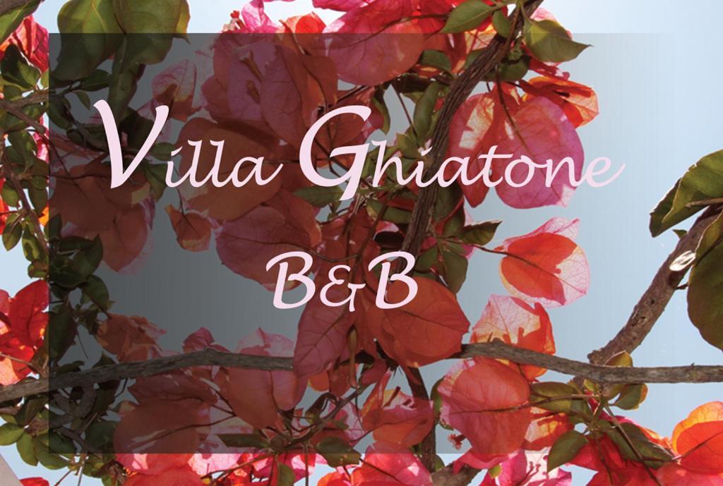 Villa Ghiatone Pietrosella Εξωτερικό φωτογραφία