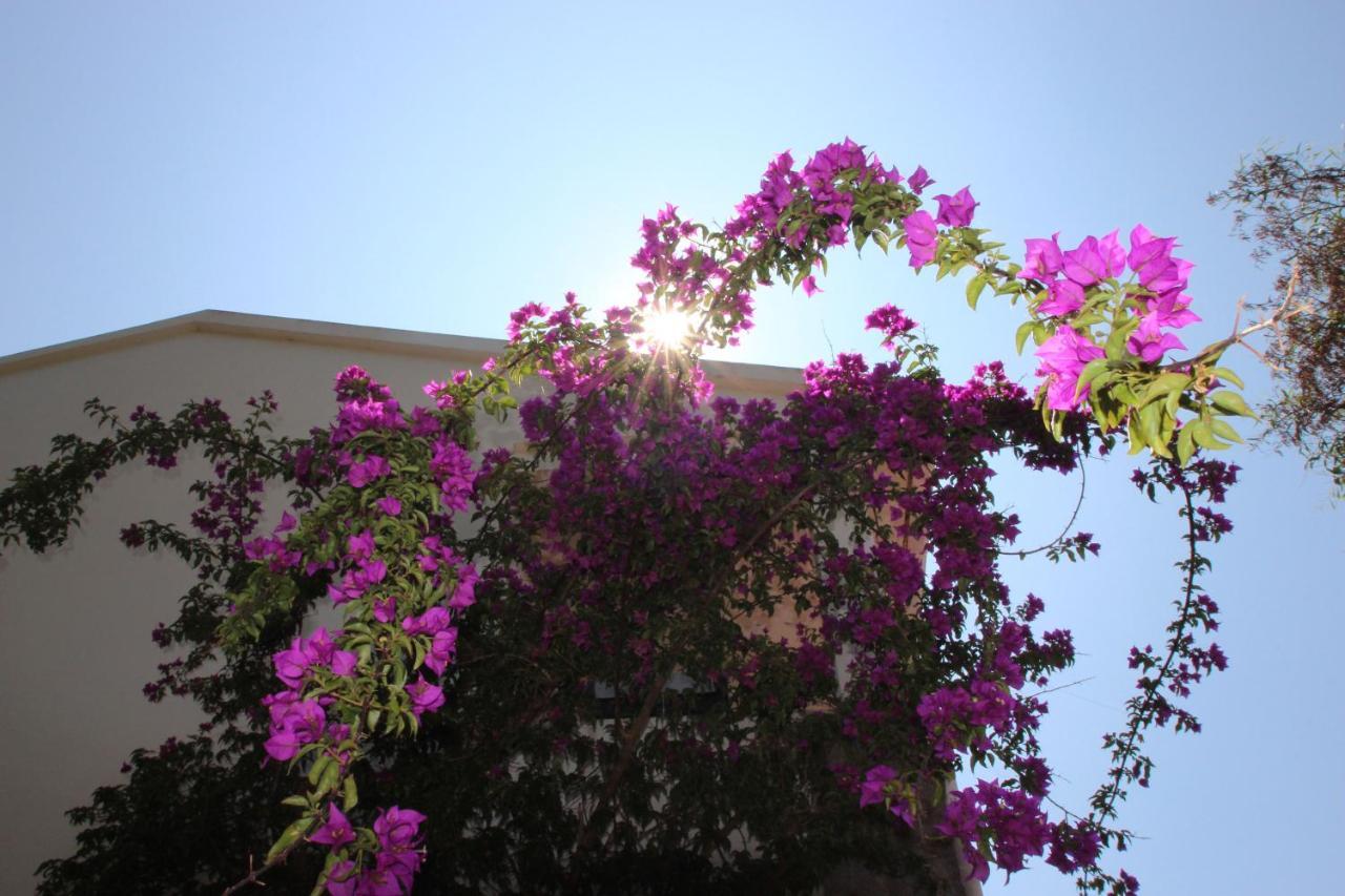 Villa Ghiatone Pietrosella Εξωτερικό φωτογραφία